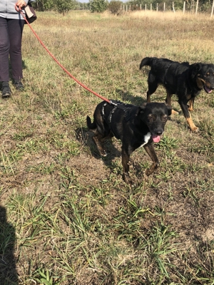 MAILA - sucht Leute mit Herz (mit Videos) Bild 18
