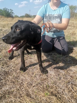 Gina, coole Socke sucht kuscheliges Körbchen (mit Video)