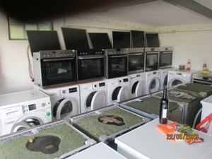 Waschmaschinen, Geschirrspüler, Trockner, Backöfen Bild 1