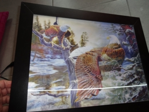 3-D Wandbild in dekorativem Rahmen zu verkaufen "Adler" Bild 2