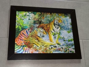 3-D Wandbild in dekorativem Rahmen zu verkaufen "Tiger" Bild 1