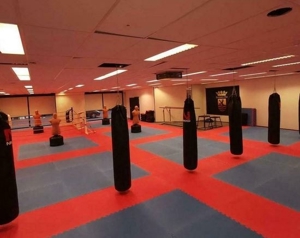 Bodenschutzmatte Tatami EVA 2,6cm Schaum MMA-Yoga-Kampfsport-Boxen-Aerobic Bild 6