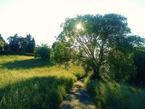 Hundebetreuung   Hundepension Hennef