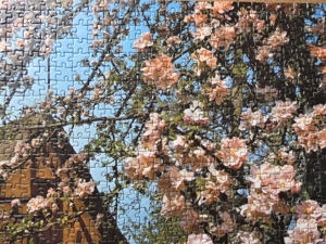Puzzle 1000 Teile / Frühlingsmotiv Bild 2