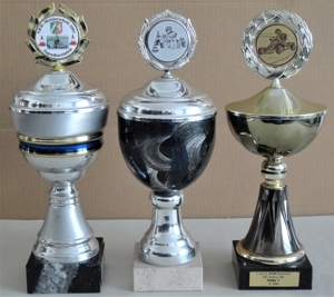 80 gewonnene Pokale, Cups, Henkelpokale, verschiedene Größen, Farben, Formen Bild 5