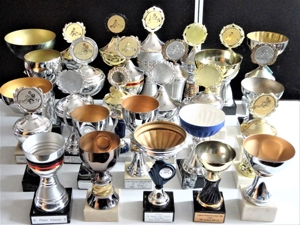 80 gewonnene Pokale, Cups, Henkelpokale, verschiedene Größen, Farben, Formen Bild 2