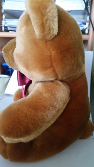 Neuwertiger Teddybär mit Schleife Bild 2