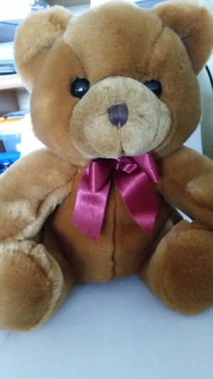 Neuwertiger Teddybär mit Schleife Bild 1