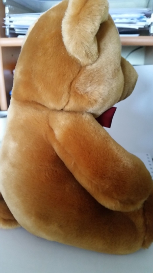 Neuwertiger Teddybär mit Schleife Bild 3