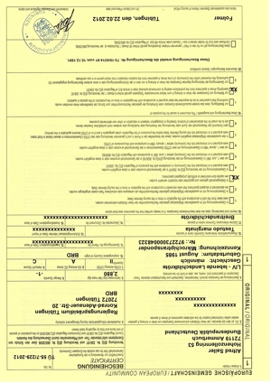 Adulte Breitrandschildkröten, Tm, abzugeben Bild 3