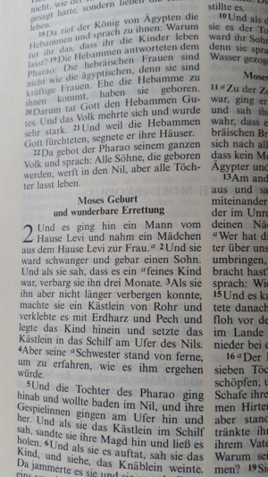 Bibel, Heilige Schrift Bild 16