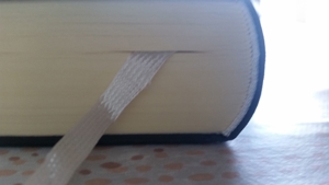 Bibel, Heilige Schrift Bild 7