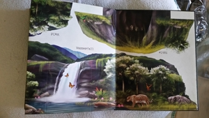 Neuwertiges Buch: Abenteuer Regenwald Bild 5