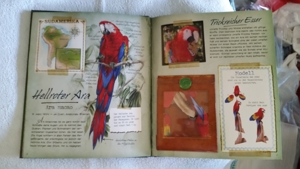 Neuwertiges Buch: Abenteuer Regenwald Bild 2