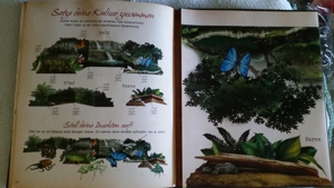 Neuwertiges Buch: Abenteuer Insekten Bild 4