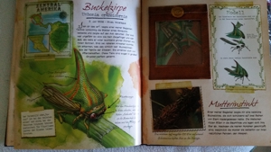 Neuwertiges Buch: Abenteuer Insekten Bild 5
