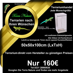 Terrarium : 100x50x100 cm, (LxTxH) Bild 13