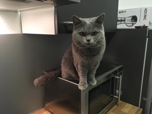 Deckkater BKH Bild 2