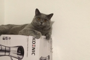 Deckkater BKH Bild 3