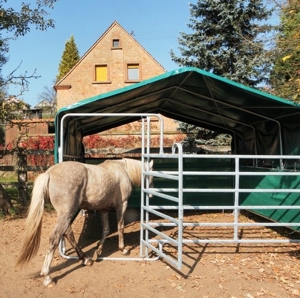ganzjähriger Pferde-Stall-Unterstand Bild 3
