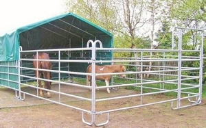 ganzjähriger Pferde-Stall-Unterstand Bild 4