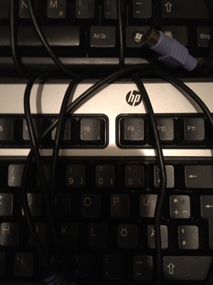 HP PC Tastaturen PS2 und USB 3 Stück Bild 1
