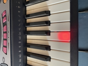 Keyboard Casio LK 50 mit Leuchttasten Leitsystem Bild 2
