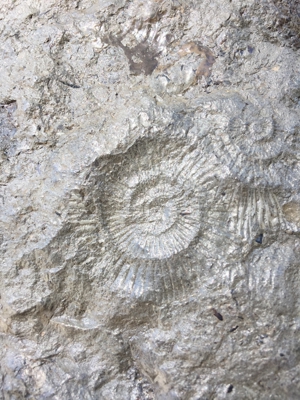 Schieferplatten Uhr und grosse Schieferplatte Bild 9