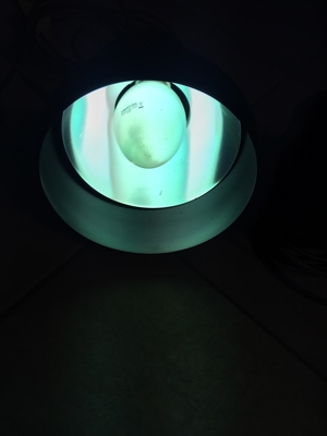 Pflanzenlampen für Aquarium oder Terrarium, Lampen mit Spezialbirnen Bild 6