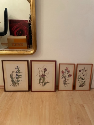 Bilder verschieden signiert , Zeichnungen , Tusche etc