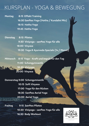 In Heidelberg: Yoga und Pilates Kurse, Aerial Yoga, Schongymnastik, Body Workout Bild 1