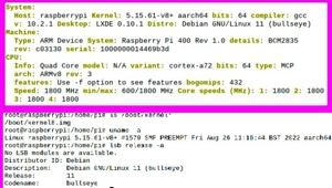 Debian "bullseye" 64bit Raspberry Linux Betriebssystem, MicroSDXC 128GB, SanDisk Ultra, 120MB s Bild 4