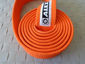 Budosport Karate Judo, Gürtel, orange, 5 Euro