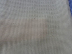Bluse Kurzarm Kurzarmbluse kanariengelb Gr. 50 bzw. ca. Gr. XXL Bild 4
