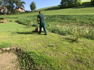 Landschaftsgärtner und Pflasterer ( m w d  ) ab März 2026 gesucht.