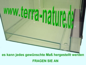 Terrarium Dendrobaten-Terrarium 60x60x60cm Froschterrarium Bild 11
