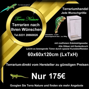 Terrarium 100x50x50cm alle Maße möglich Made in Germany Bild 5