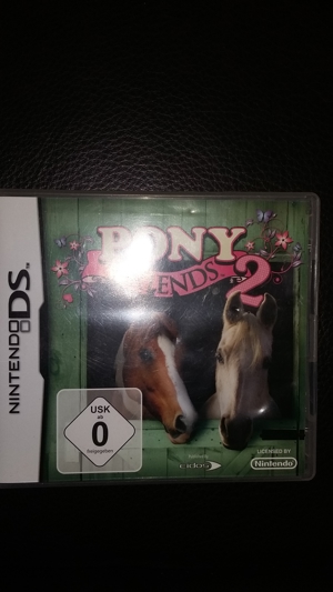 Nintendo DS Pony Friends 2