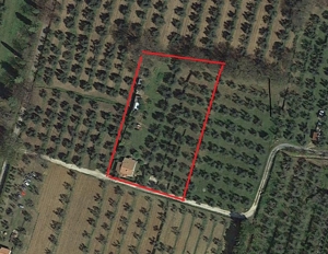 Toscana, Traumhafte Lage, Haus am Meer mit Olivenhainen Bild 12