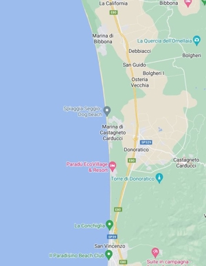 Toscana, Traumhafte Lage, Haus am Meer mit Olivenhainen Bild 11