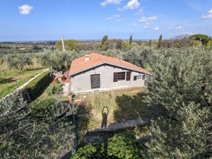 Toscana, Traumhafte Lage, Haus am Meer mit Olivenhainen
