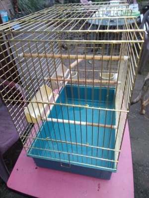 Vogel Käfig Bild 2