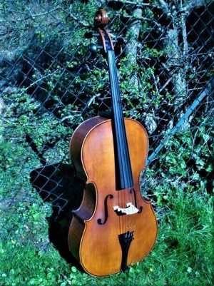 Cello n. "D. TECCHLER ROMAE 1709" Bild 3