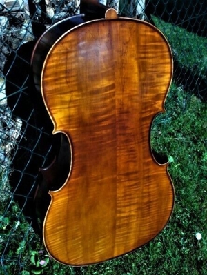 Cello n. "D. TECCHLER ROMAE 1709" Bild 2