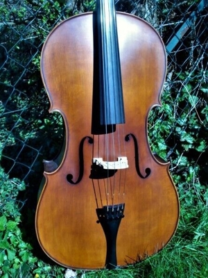 Cello n. "D. TECCHLER ROMAE 1709" Bild 1