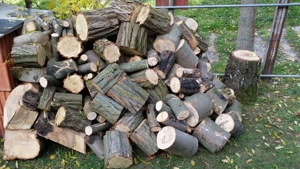 Brennholz nur Hartholz wie Esche, Buche, Akazie Trocken so wie auf den Bildern, Kaminholz, Feuerholz Bild 8
