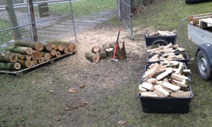 Brennholz nur Hartholz wie Esche, Buche, Akazie Trocken so wie auf den Bildern, Kaminholz, Feuerholz Bild 4