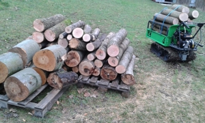 Brennholz nur Hartholz wie Esche, Buche, Akazie Trocken so wie auf den Bildern, Kaminholz, Feuerholz Bild 5