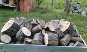 Brennholz nur Hartholz wie Esche, Buche, Akazie Trocken so wie auf den Bildern, Kaminholz, Feuerholz Bild 6