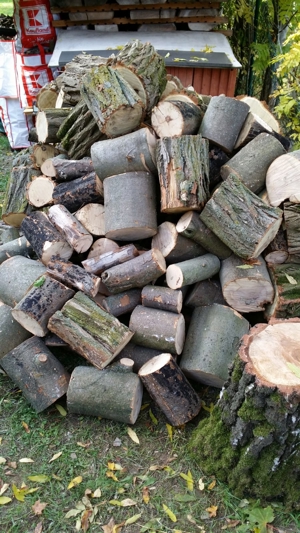Brennholz nur Hartholz wie Esche, Buche, Akazie Trocken so wie auf den Bildern, Kaminholz, Feuerholz Bild 10